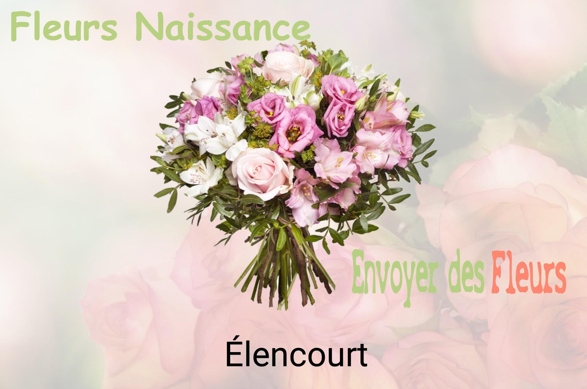 Bouquet de fleurs de naissance livré à Élencourt